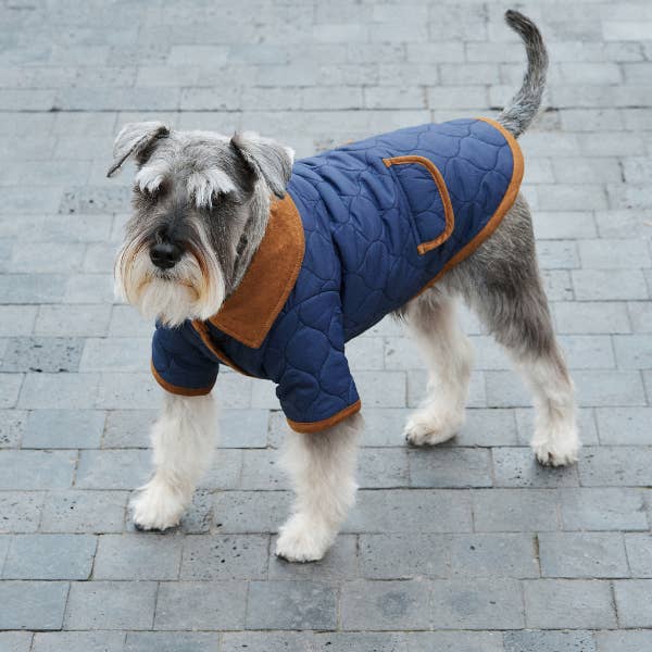 ARISTOPET - Wholesale Pet Jacket - Dog - SPENCER JACKET3