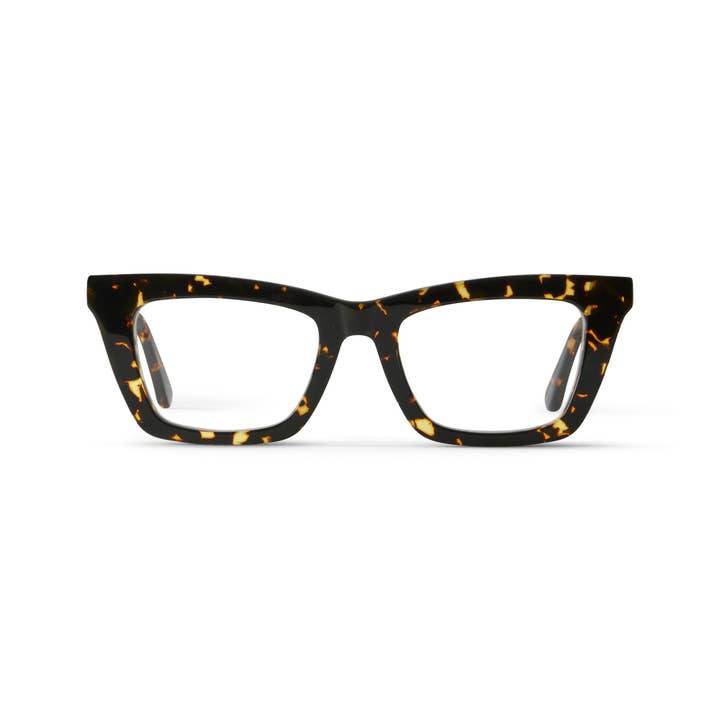 Manu Fire Tortoise for wholesale by French Kiwis