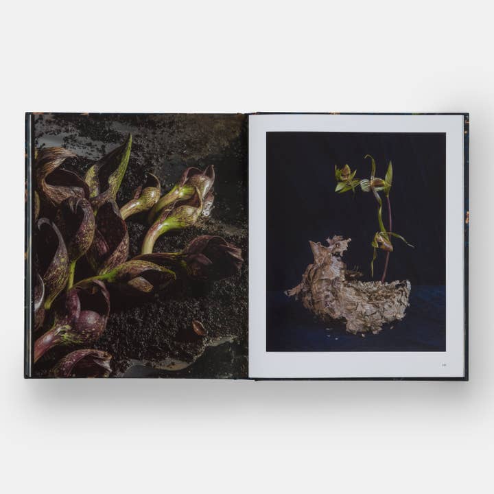 Phaidon Press – wholesale Book – Adult – Emily Thompson Flowers7