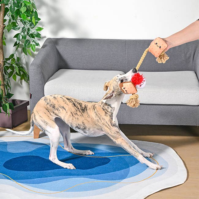 Hugsmart Products Inc - Wholesale Pet Rope Toy - Dog - HugSmart Pet - Camping Pups | S'mores Tug - Rope Toy2