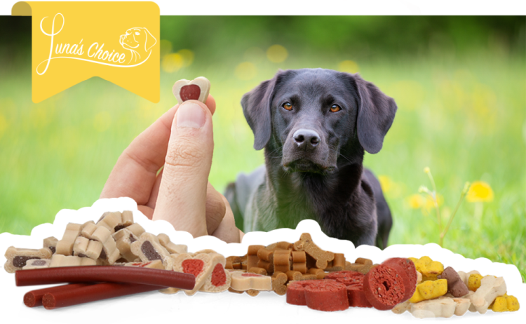 Hofman Animal Care - Wholesale Pet Treats - Dog - Luna's Choice Trainer Mix Chicken Pieces2