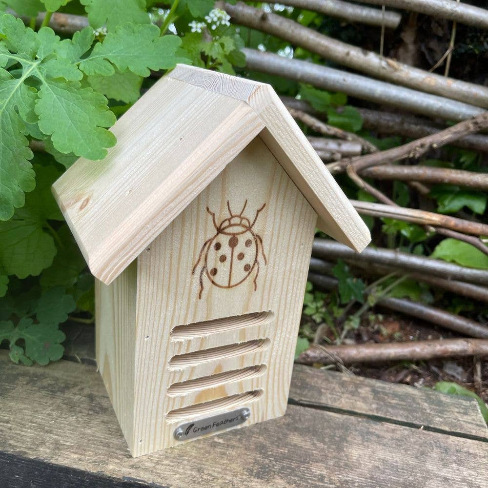 Green Feathers – wholesale Bird house – Ladybird House2