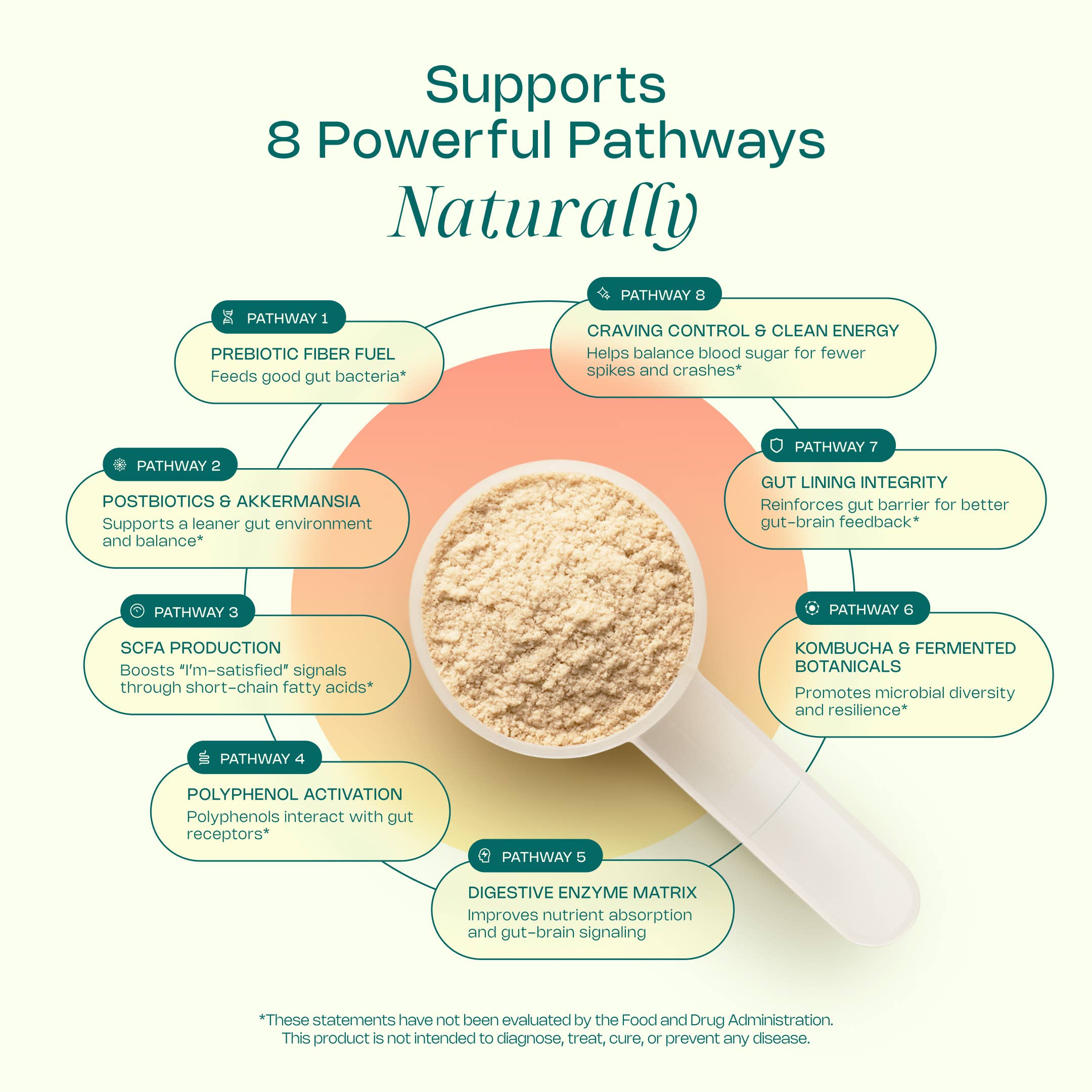 LevelUp - Wholesale Voedingssupplement/vitamine - GLP Superfood, Ongezoet1