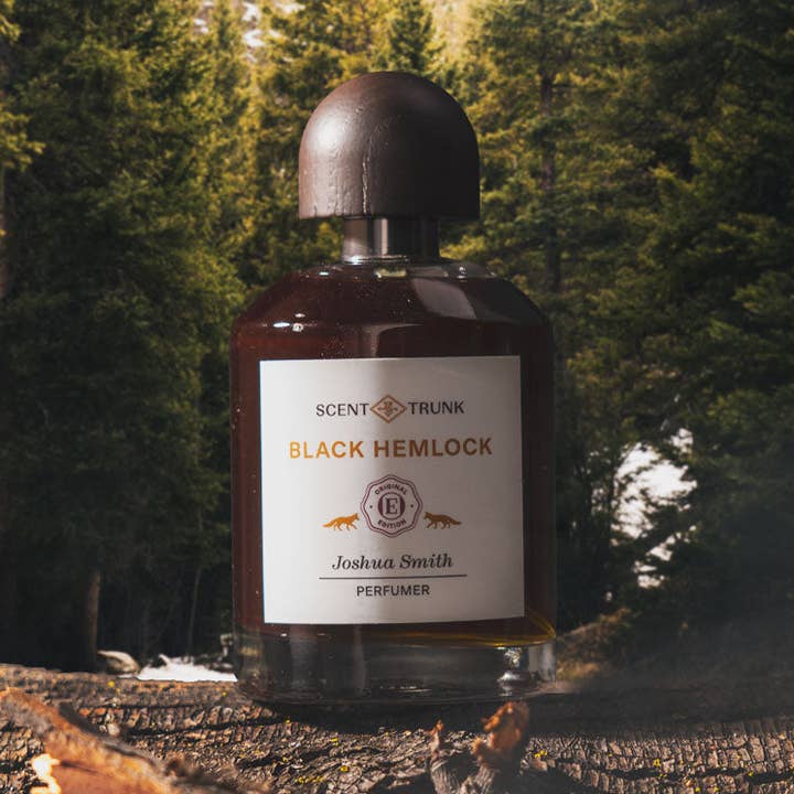 Cicuta nera per la vendita all'ingrosso da parte di Scent Trunk