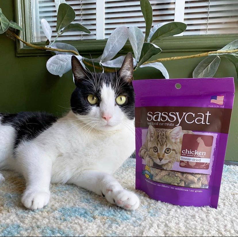 Herbsmith - Wholesale Pet Treats - Cat - Sassy Cat Freeze-Dried Treats6