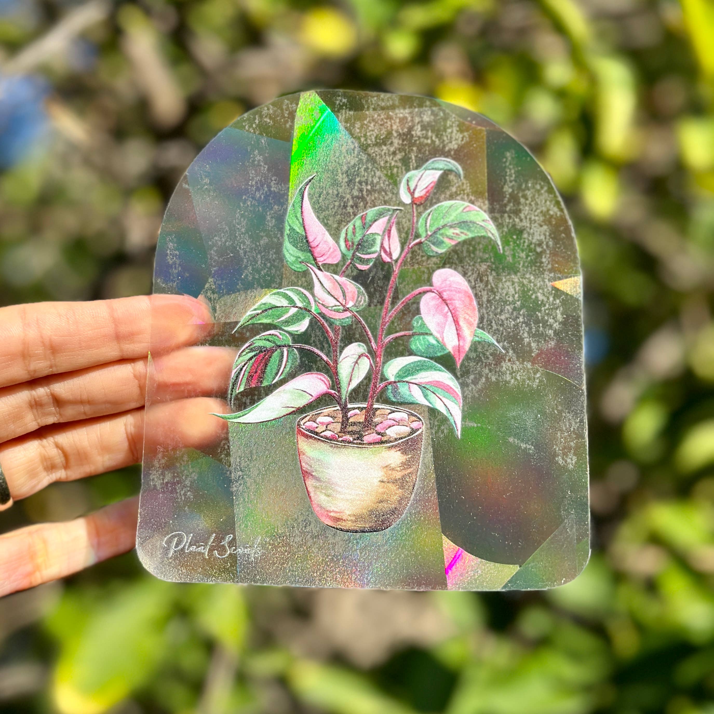 Plant Scouts - Wholesale Suncatcher - Rainbow Making Suncatcher Window Decal - Pink Princess