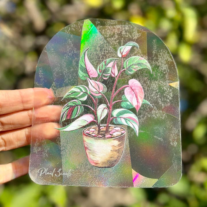 Plant Scouts - Wholesale Suncatcher - Rainbow Making Suncatcher Window Decal - Pink Princess0