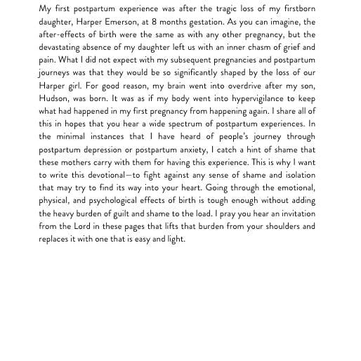 Wheat and Honey Co. - Wholesale Religion Book - Washed: A Motherhood Devotional about Postpartum4