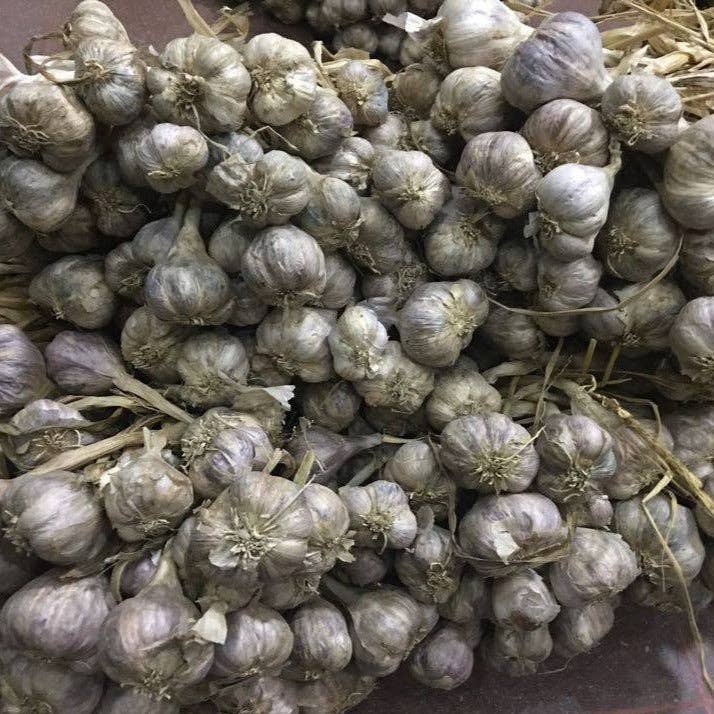 Burlap & Barrel - Wholesale Dried Spice - Purple Stripe Garlic - Single Origin Spice & Seasoning