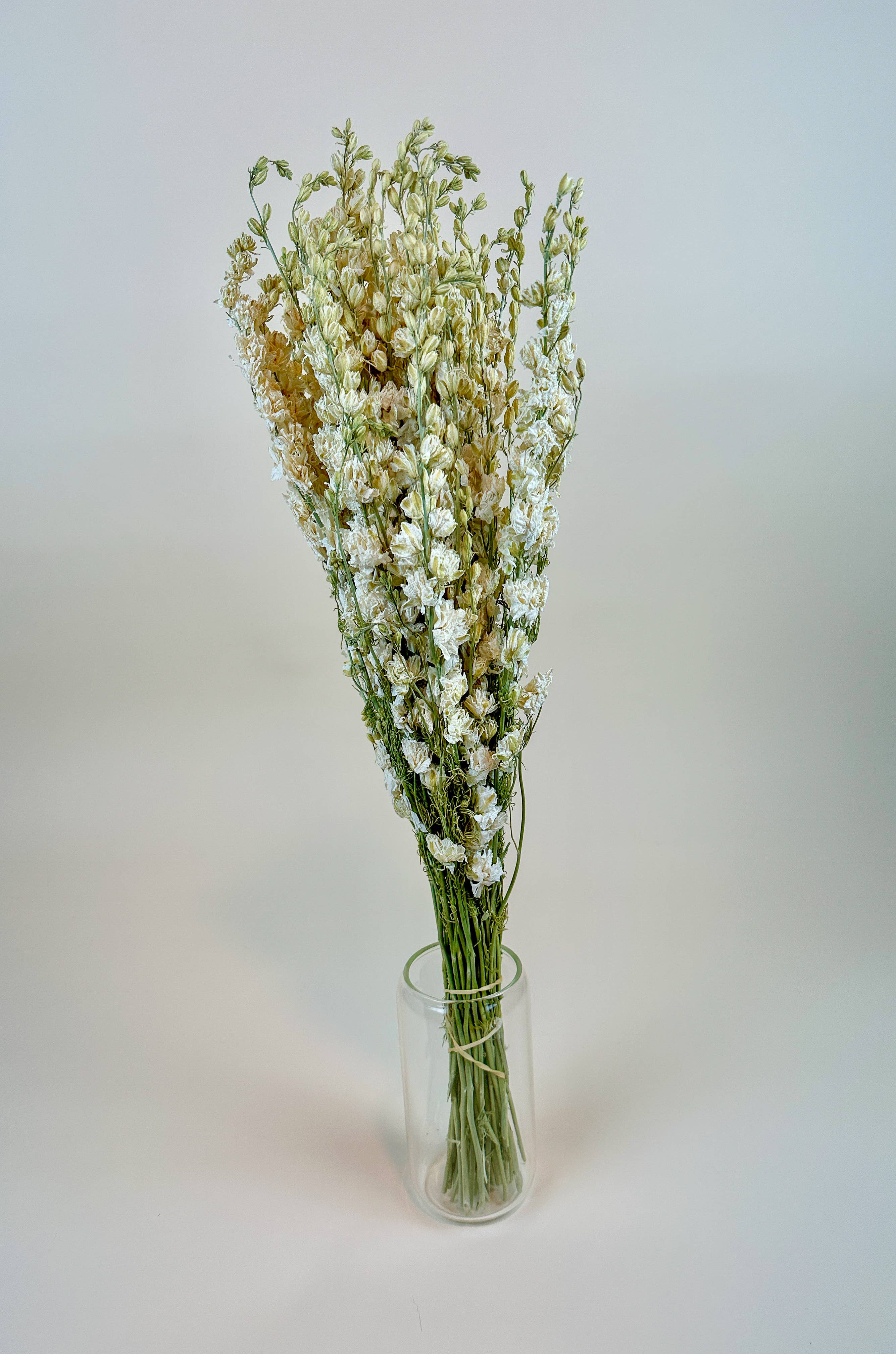 Lovejoy Farms Premium Dried Flowers - Vente Fleur séchée/pressée - Larkspur blanc impérial à fleurs doubles – séché naturellement2
