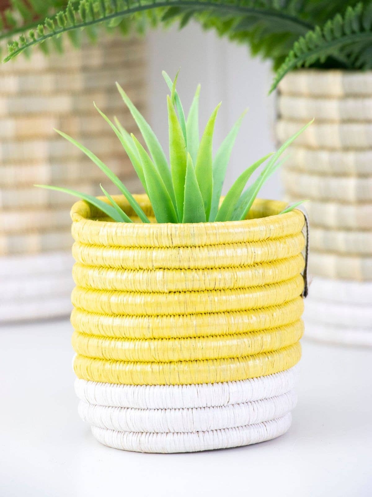 WomenCraft - Wholesale Basket - Katakuru Storage Basket & Planter | Colour Block Design | UY1