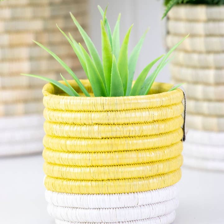 WomenCraft - Wholesale Basket - Katakuru Storage Basket & Planter | Colour Block Design | UY1