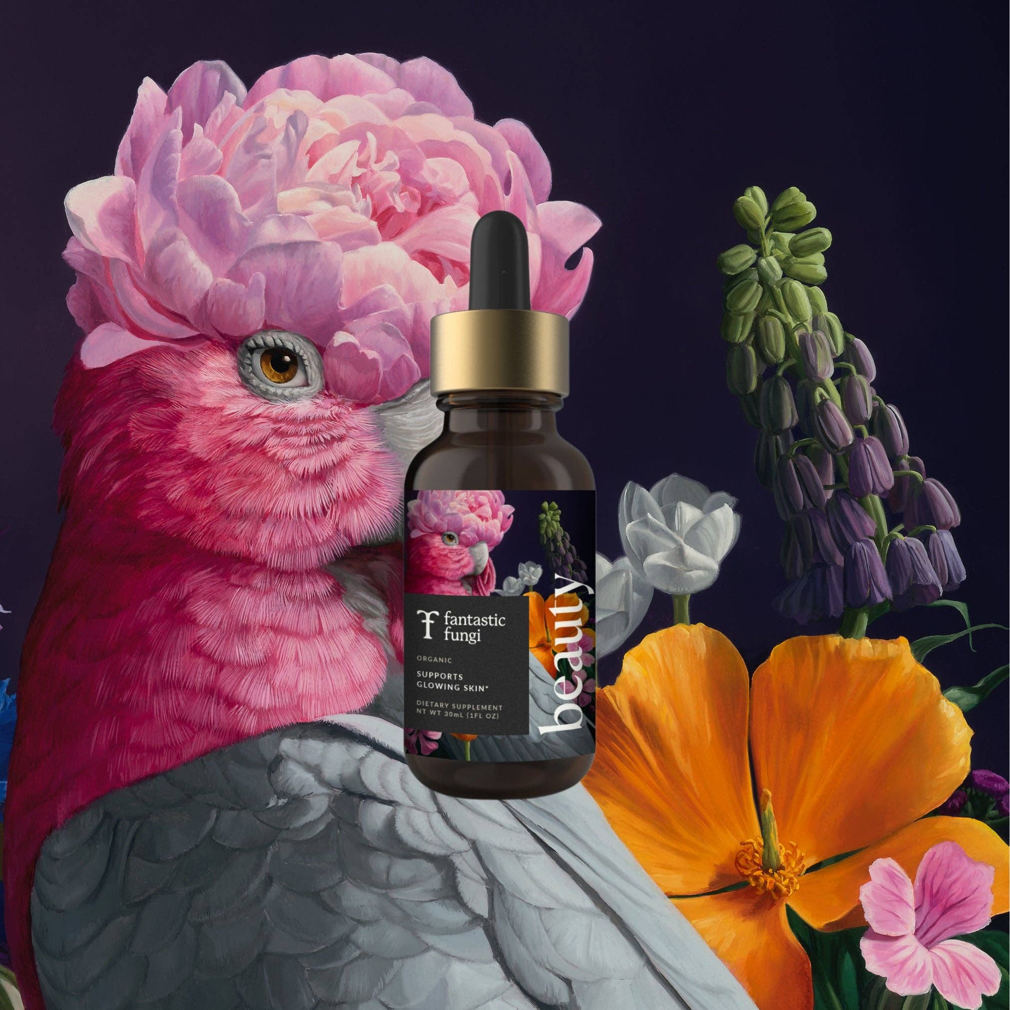 Fantastic Fungi - Wholesale Elixir - Beauty Elixir1