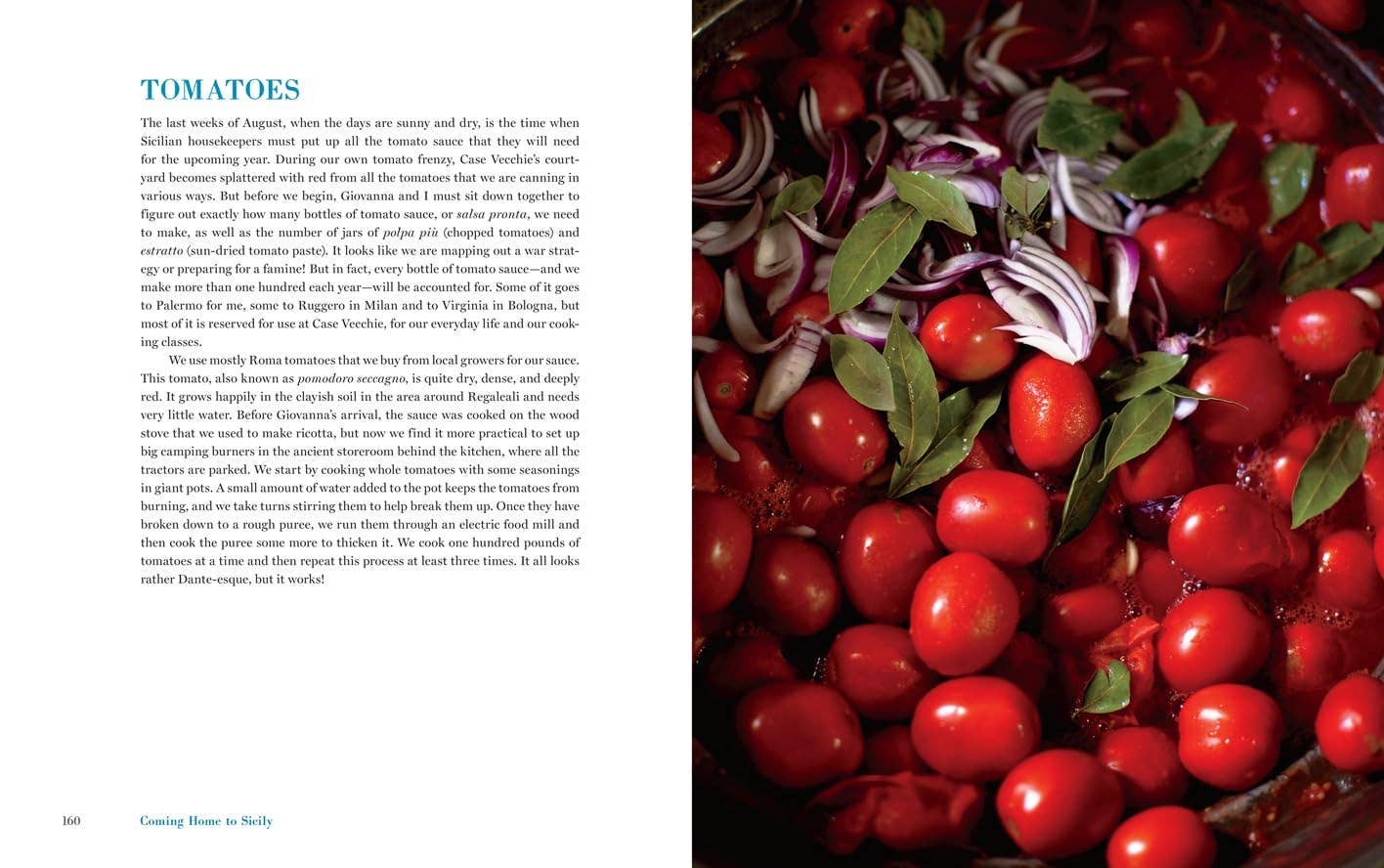 Hachette Book Group - Wholesale Cookbooks & Food - Coming Home to Sicily Cookbook by Fabrizia Lanza5