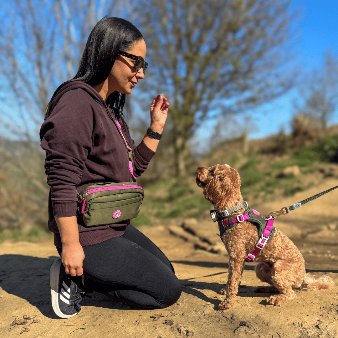 Bailey and Coco - Wholesale Belt Bag - Women's - Magnetic Snap Dog Walking Bum Bag - Olive it Hot10