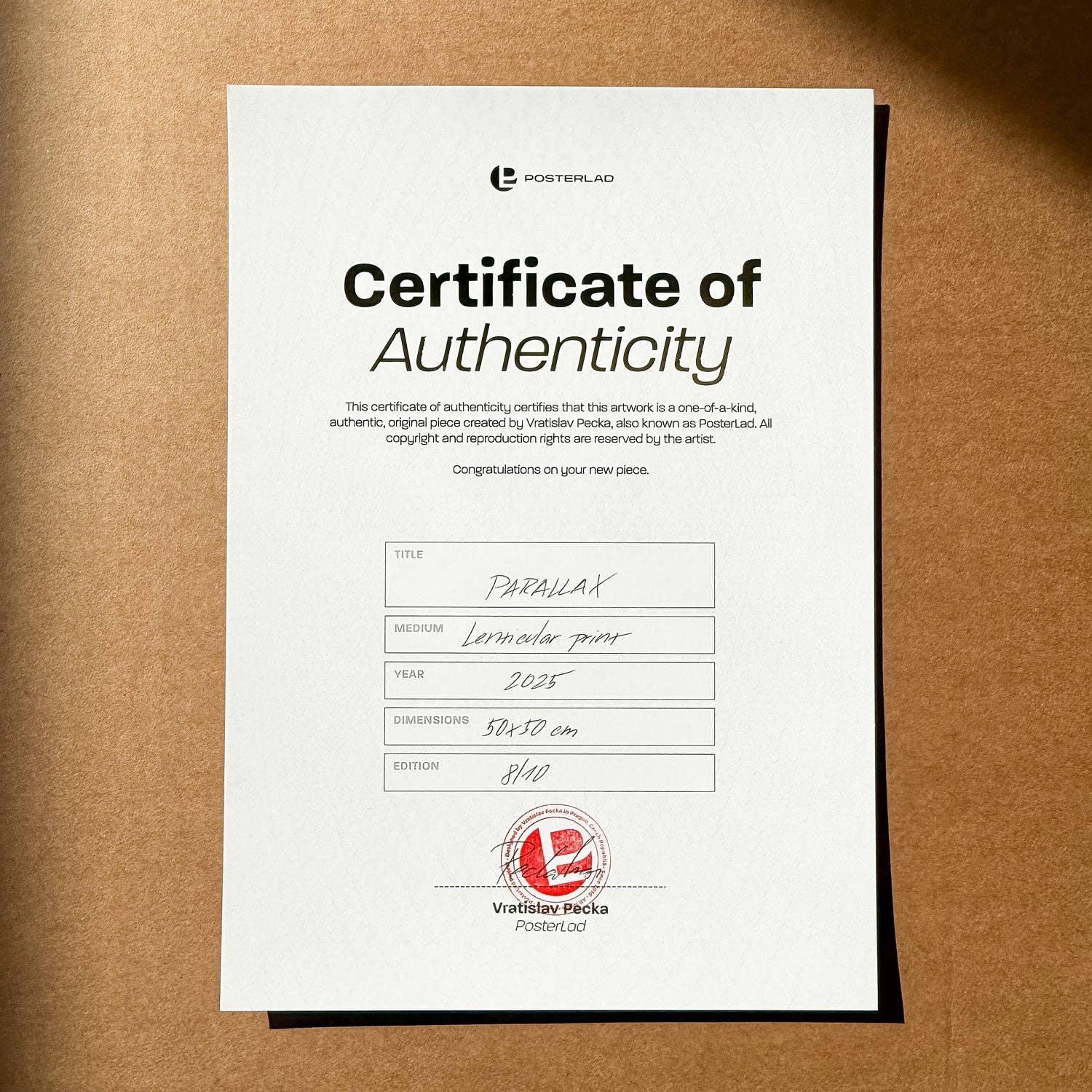 PosterLad - Wholesale Art Print - Parallax (Edition of 10, 50x50cm)3