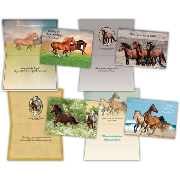Birthday Wild Horses - Assorted Birthday Cards Box of 12 for wholesale by Crown Point Graphics