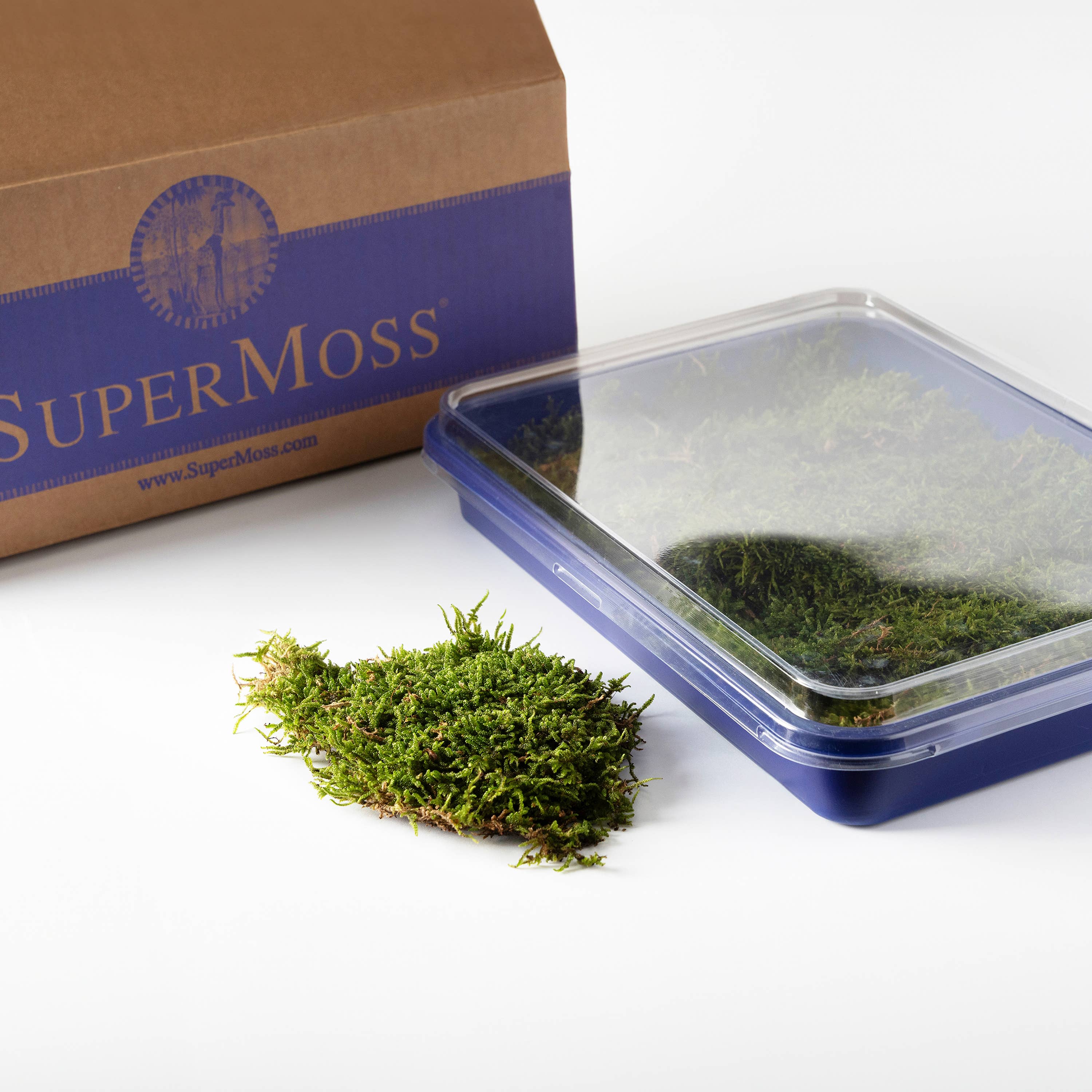 SuperMoss - Vente Plante - Mousse fraîche SuperMoss6