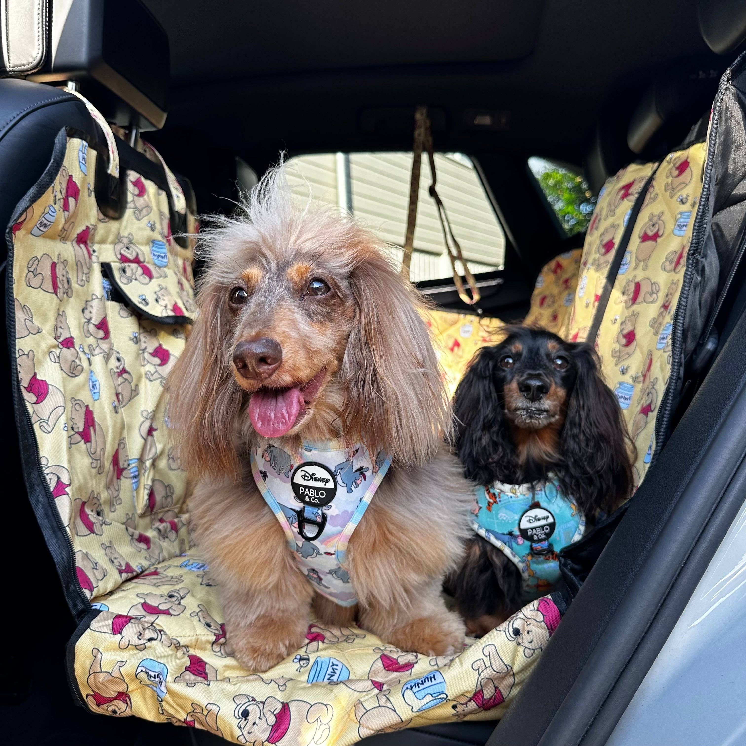 Pablo & Co. Boutique - Wholesale Pet carrier – Dog - Winnie the Pooh & Bee's: Deluxe Hammock Car Seat Cover