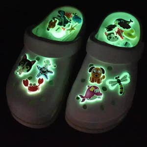 shoe charms for crocs wholesale｜TikTok Search