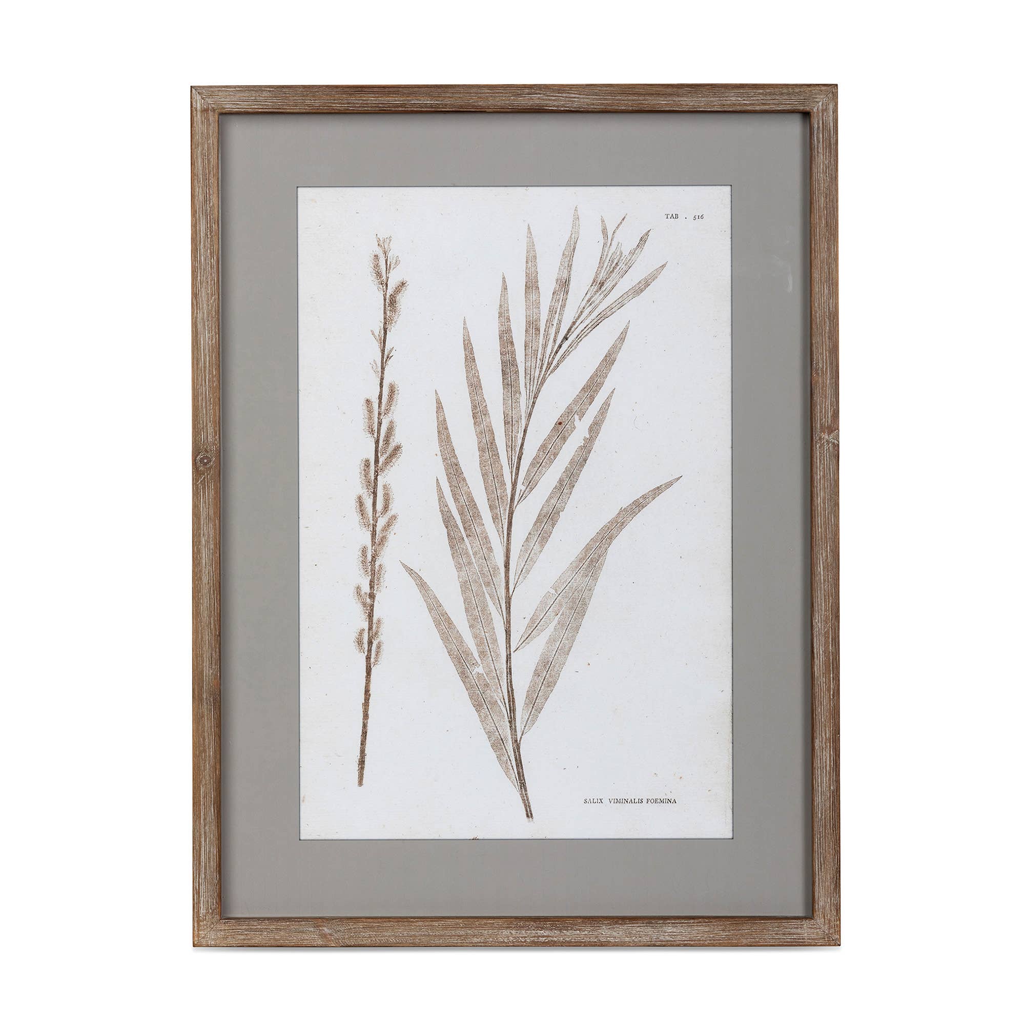 Park Hill Collection - Wholesale Wall Art Set - Framed Botanical Print2