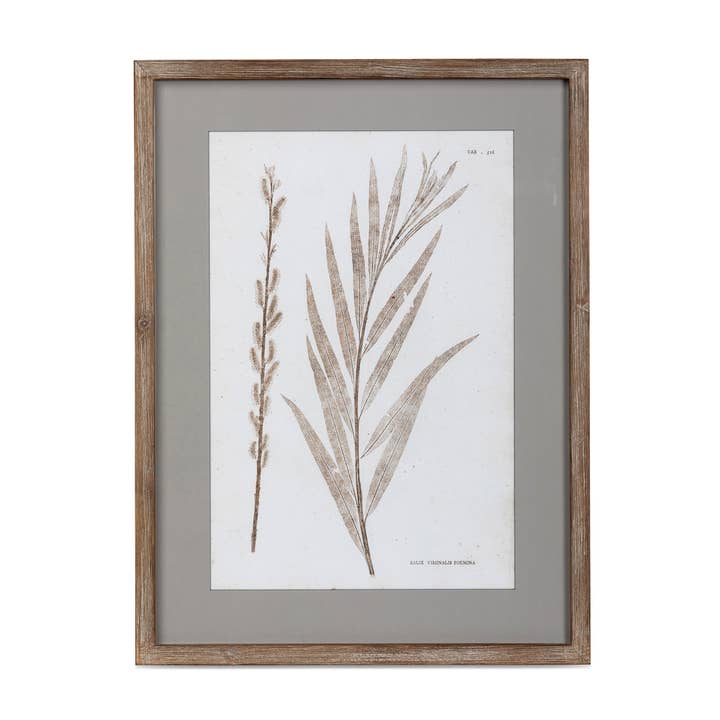 Park Hill Collection - Wholesale Wall Art Set - Framed Botanical Print2