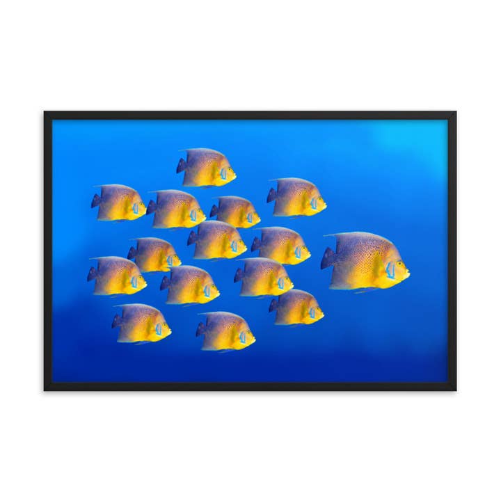 Escola de Coral Tropical Peixe-Angelfish Arte de Parede emoldurada por atacado de Pipa Wall Art & Home Decor