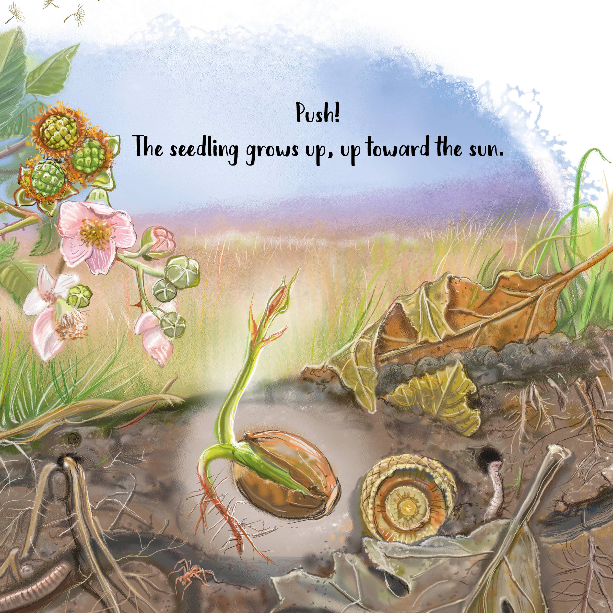 Schiffer Publishing - Wholesale Baby & Toddler Book (0-2) - The Tiniest Giant8