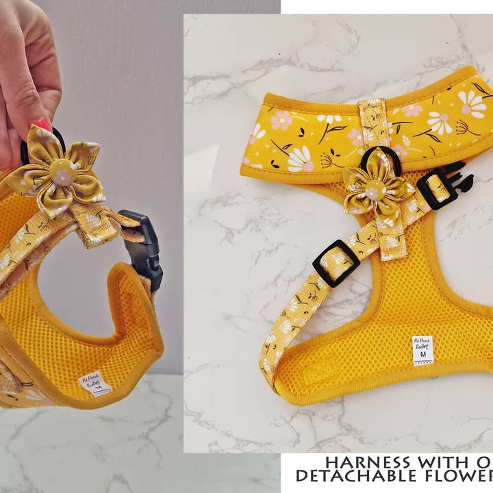 Pet Pooch Boutique - Vente Harnais – chien - Harnais pour chien Sunshine Daisy avec accessoire fleur optionnel7