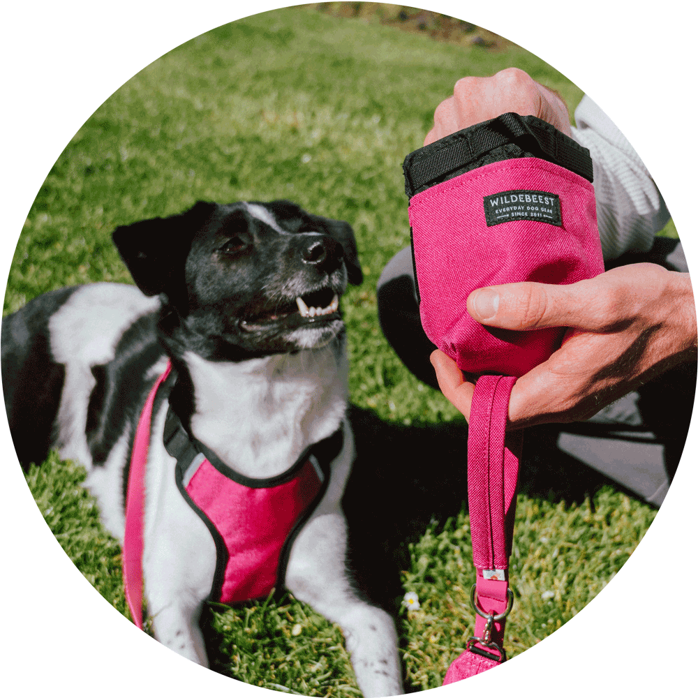 Wildebeest - Wholesale Pet Treat Bag - Dog - Alamo Magnetic Dog Treat Pouch10