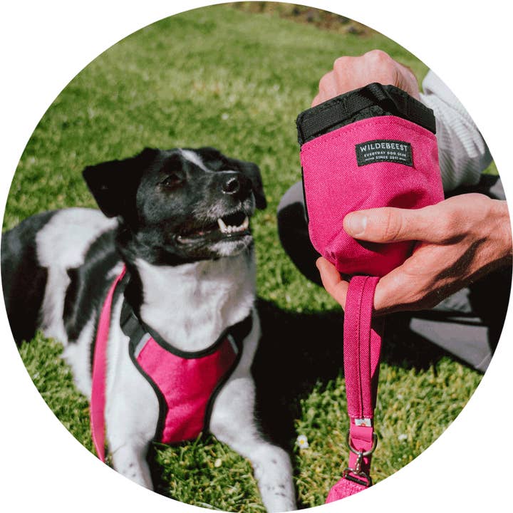 Wildebeest - Wholesale Pet Treat Bag - Dog - Alamo Magnetic Dog Treat Pouch10