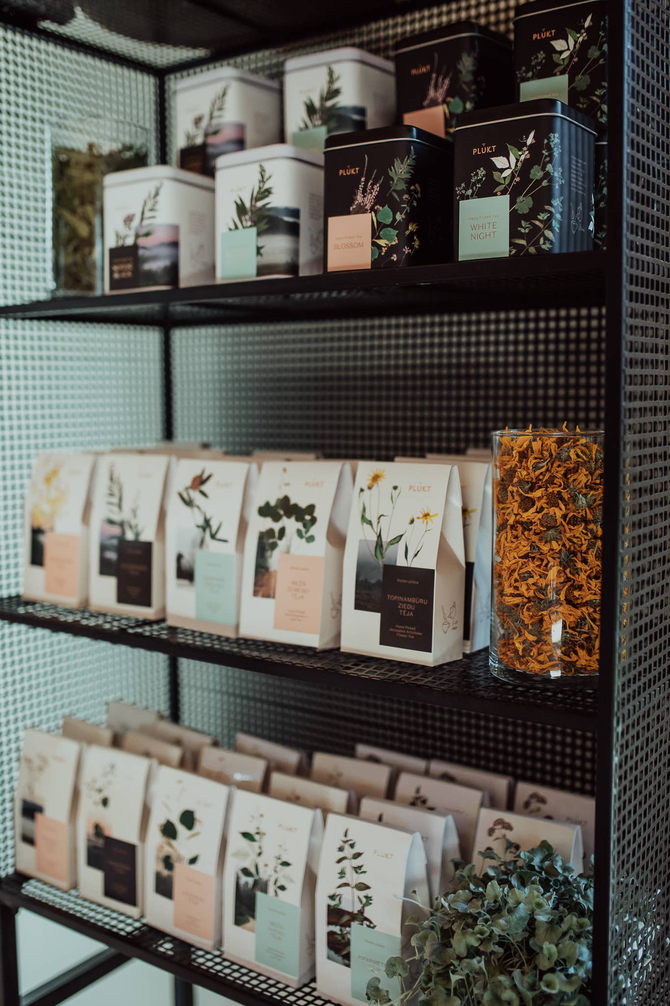 Plūkt - Vente Thé en vrac - Thé à la menthe poivrée - feuilles entières en vrac, menthe nordique10