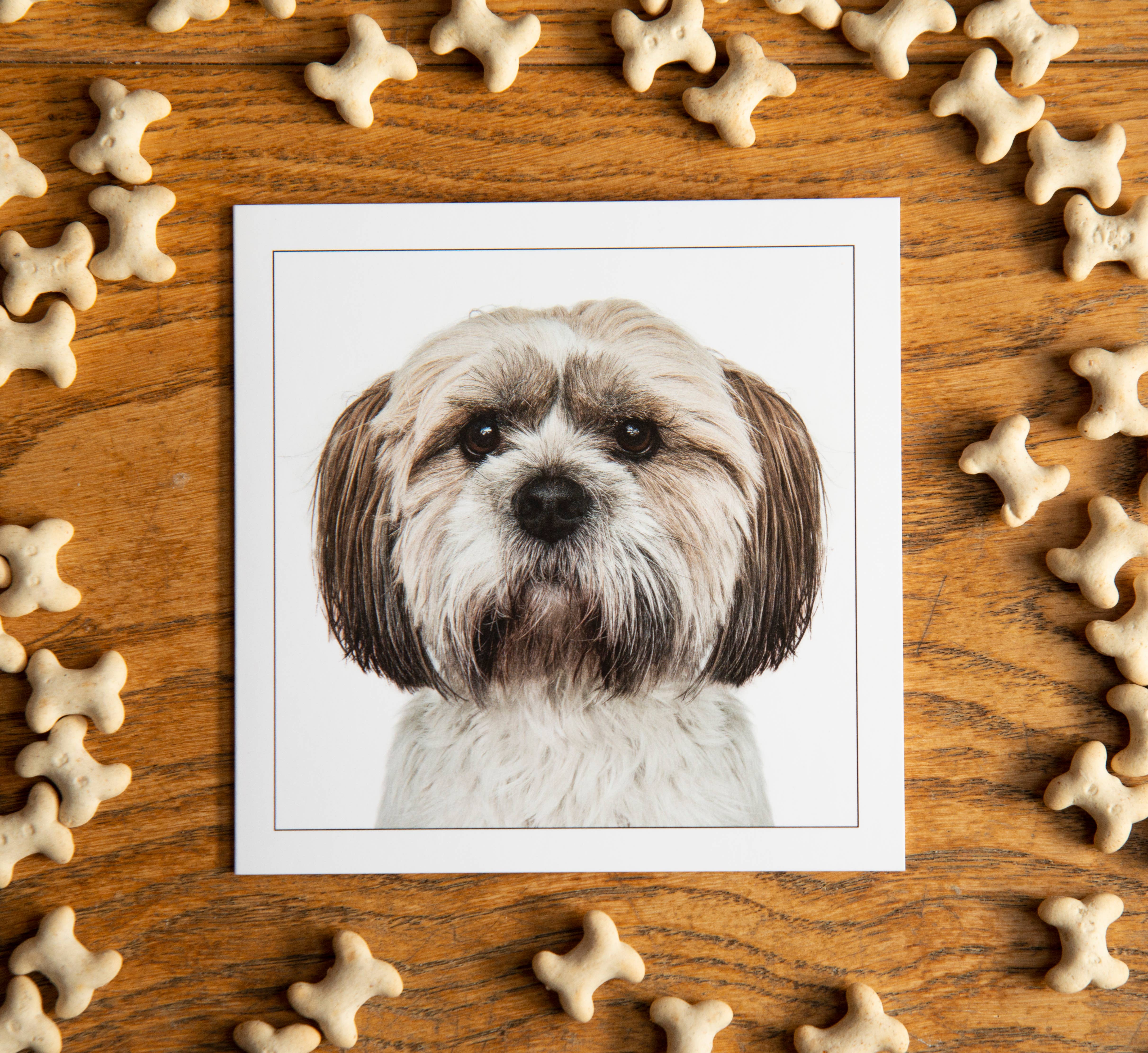 GRUFFPAWTRAITS – wholesale Everyday greeting card – Shih tzu - Dog Greeting Card  1