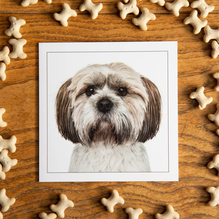 GRUFFPAWTRAITS – wholesale Everyday greeting card – Shih tzu - Dog Greeting Card 1
