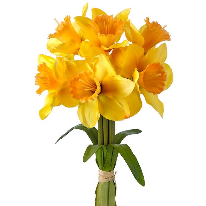 Daffodil Bunch - 6 stems for wholesale by Will's Company
