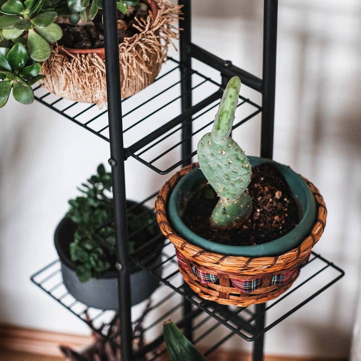 WDMT - Wholesale Standaard voor bloempot - Metalen plantenrek met 4 etages van Naturn Living1