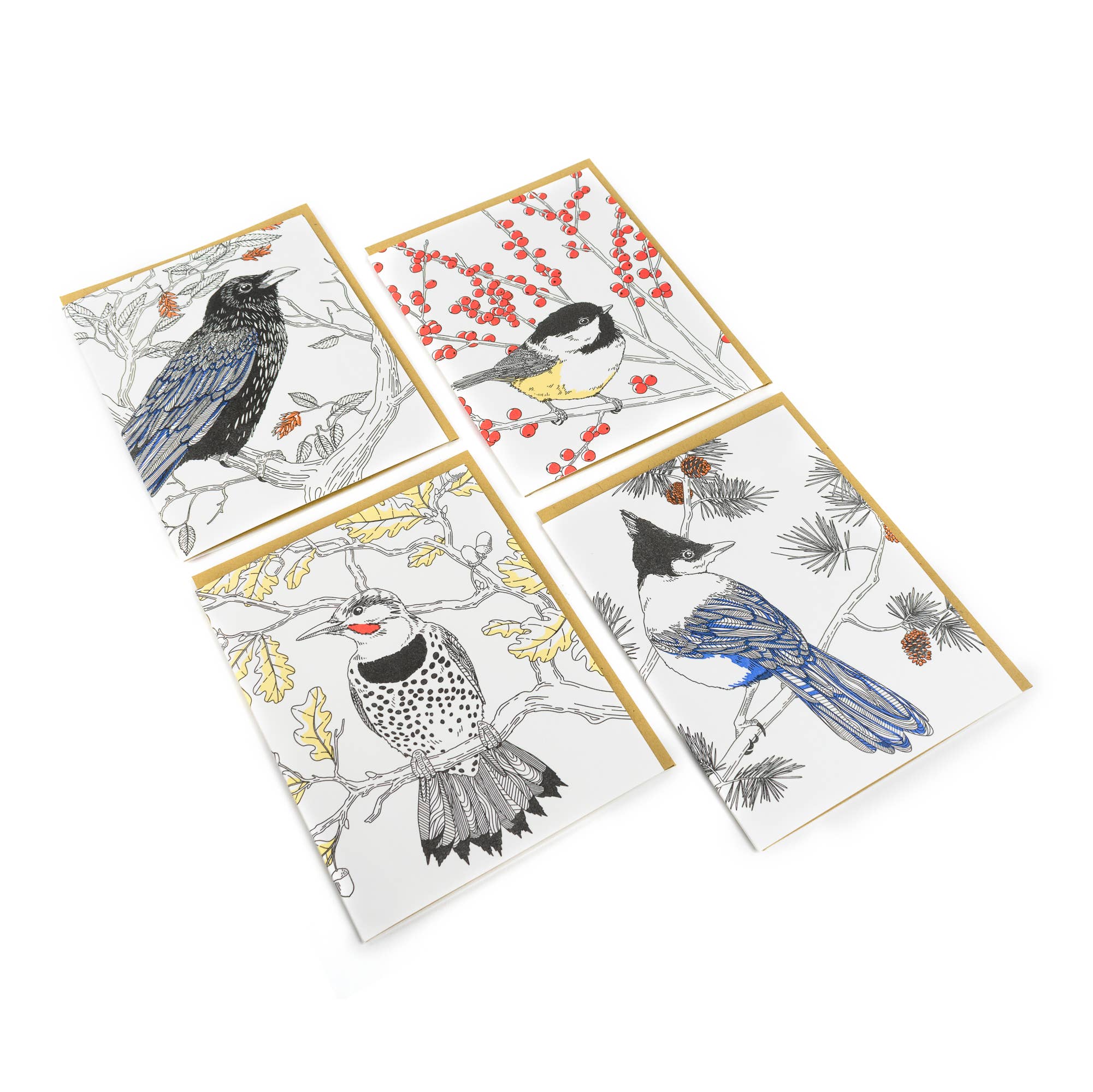Porchlight Press Letterpress – wholesale Vardagliga hälsningskort – Common Raven Card - West Coast Birds4