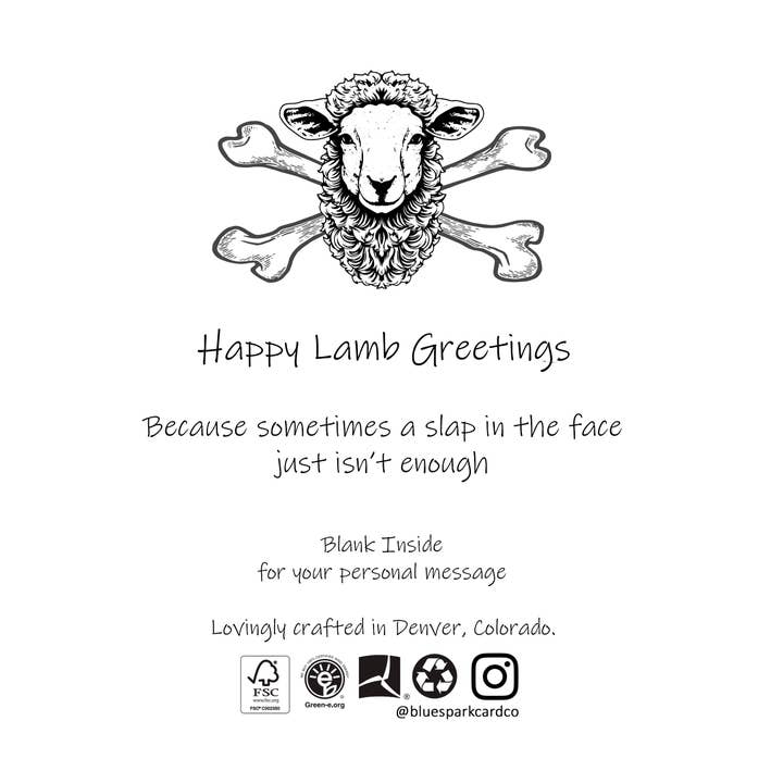 Blue Spark Card Co – Großhandel Grußkarten für den Alltag – Witzige Alltagskarte | Lustige Grußkarten | Rock Bottom3