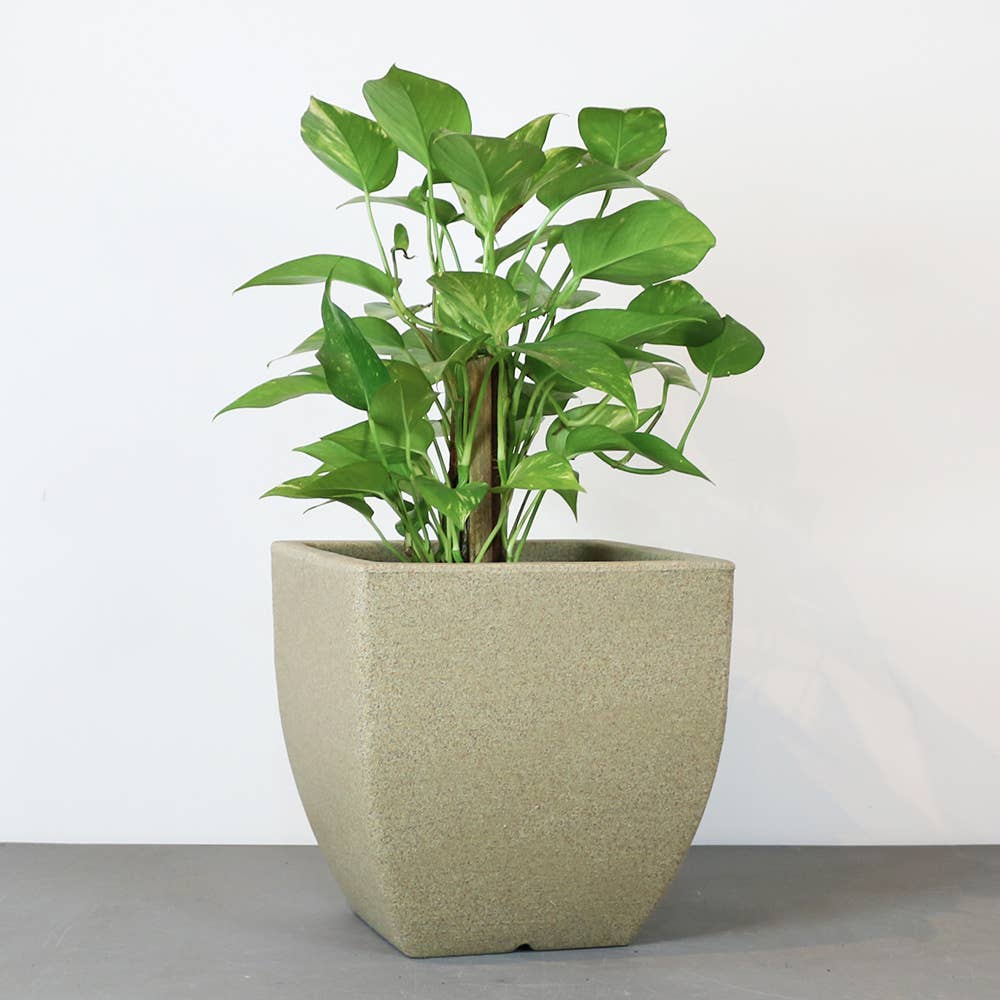 Ecobo - Wholesale Plant Pot - Capri Pot Planter2
