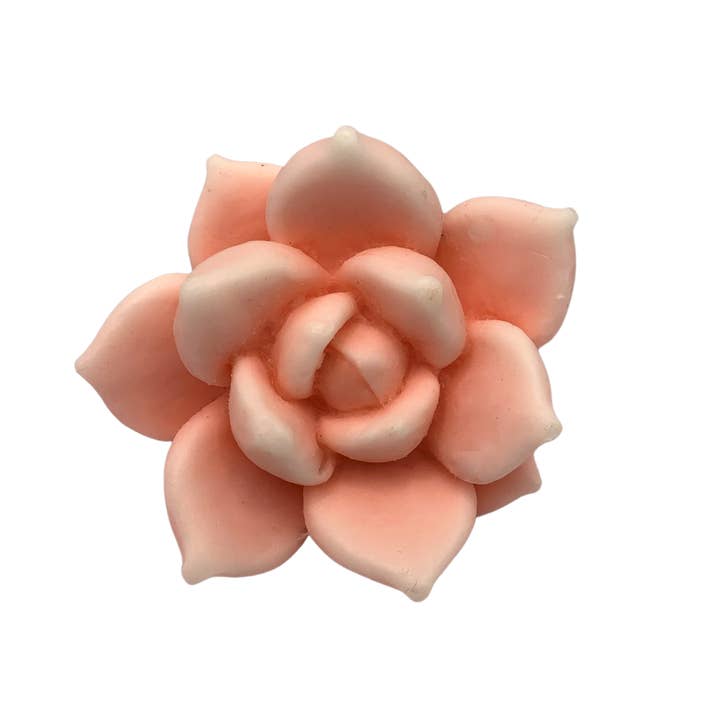 Plunk Soap and Candle Company - Wholesale Bar Soap - 3D Flower Succulent Soaps: Party Favors, Cactus theme, Gift3