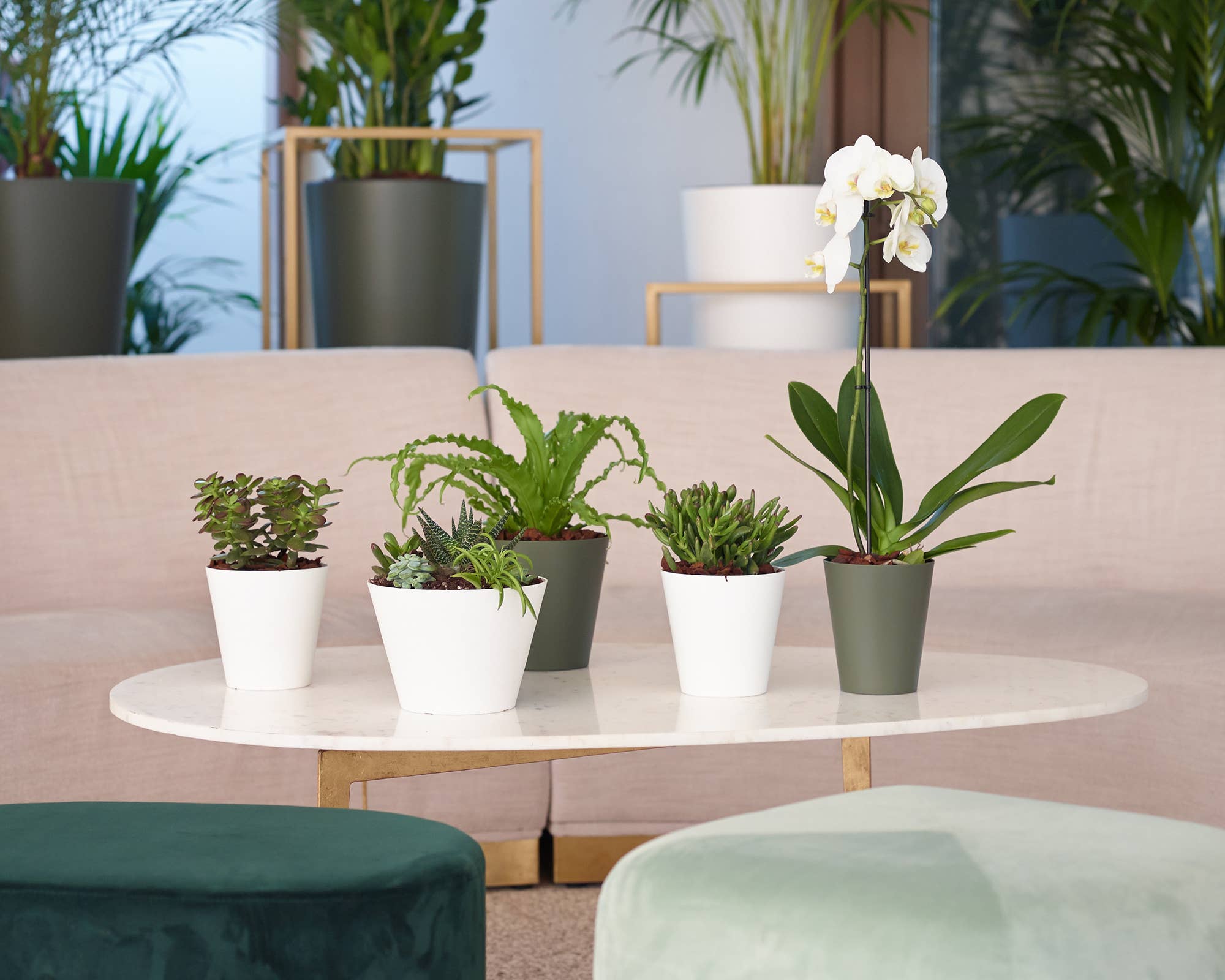 ARTEVASI, SA - Wholesale Plant Pot - Plastic flower bowl with straight, simple lines4