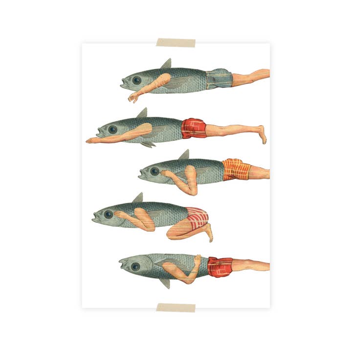 Lylies - Wholesale Postcard - Postcard collage swimming fish with swim trunks