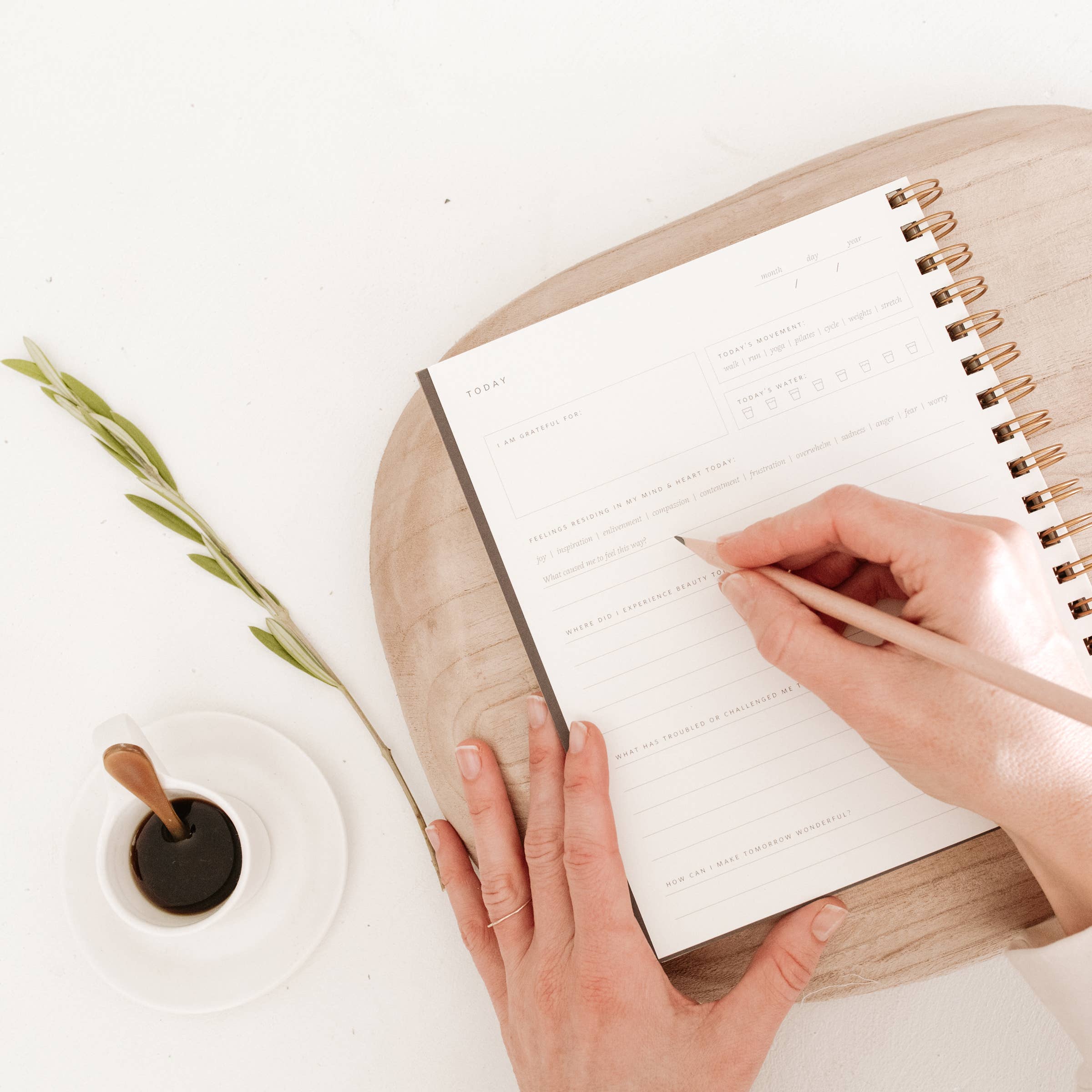 Ramona & Ruth - Wholesale Dagboek/agenda - Daily Pause Journal | Diverse kleuren // Zonder datums1