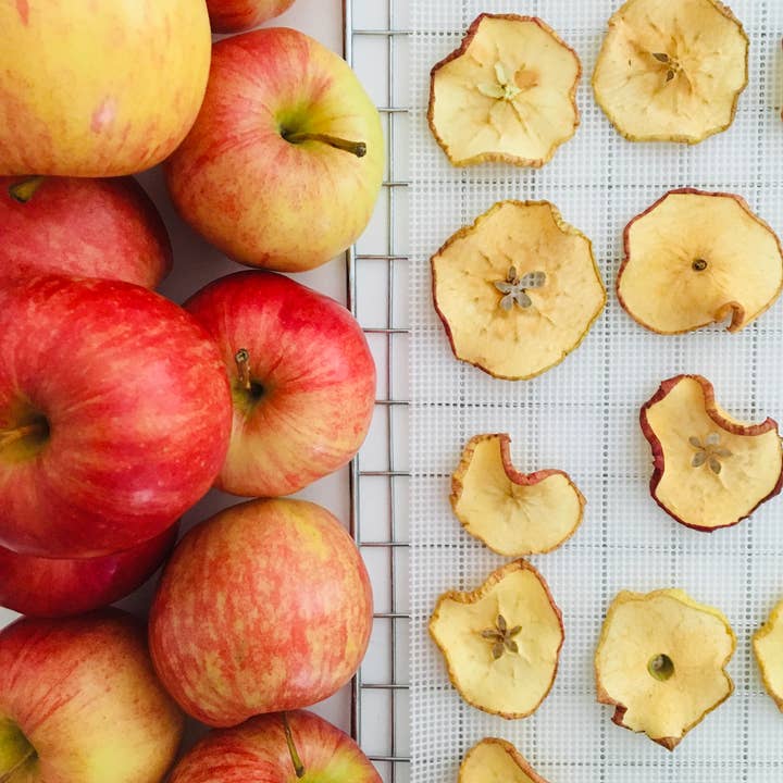 FreshDried - Wholesale Dried/dehydrated fruit - Dried Apple Slices - organic2