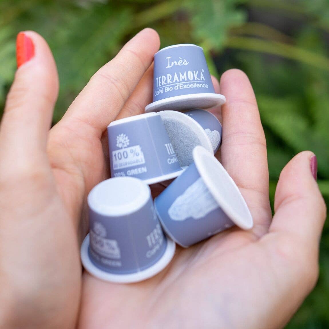 TERRAMOKA - Wholesale Coffee Pods - Organic Coffee 60 Zero Waste Capsules Compatible with Nespresso Ines1