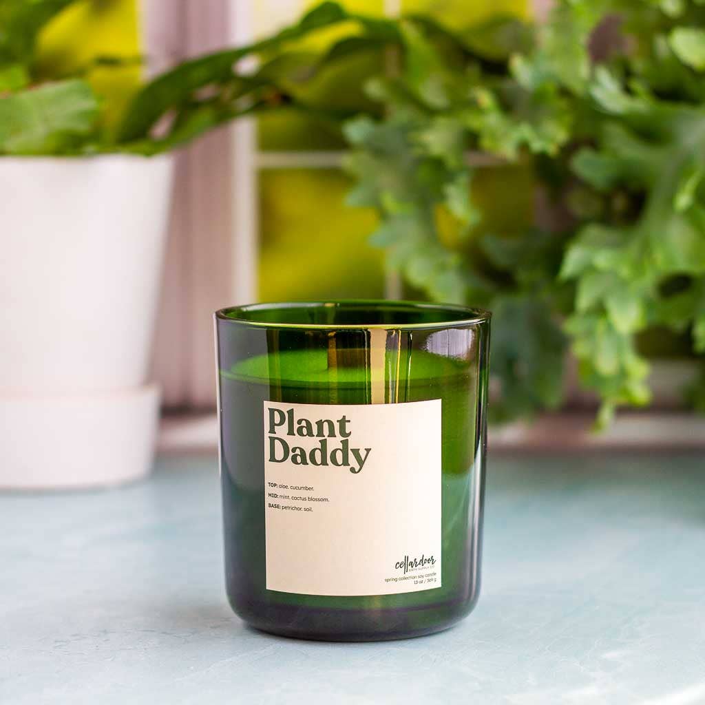 Cellar Door Bath Supply Co. - Wholesale Jar/Filled Candle - Plant Daddy - 13 oz Double Wick Soy Candle