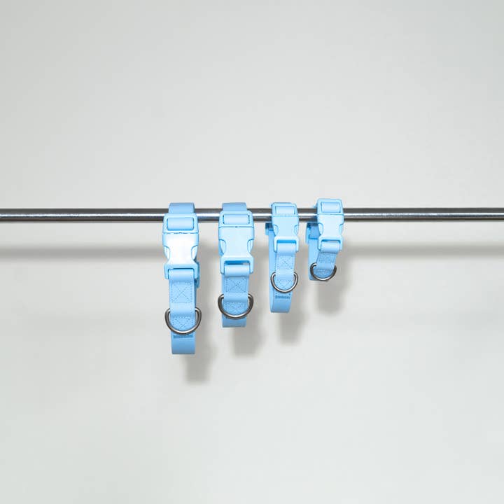 Springland Pets - Wholesale Pet collar – Dog - Dog Collar - All-Weather, Adjustable (4 Pack)11