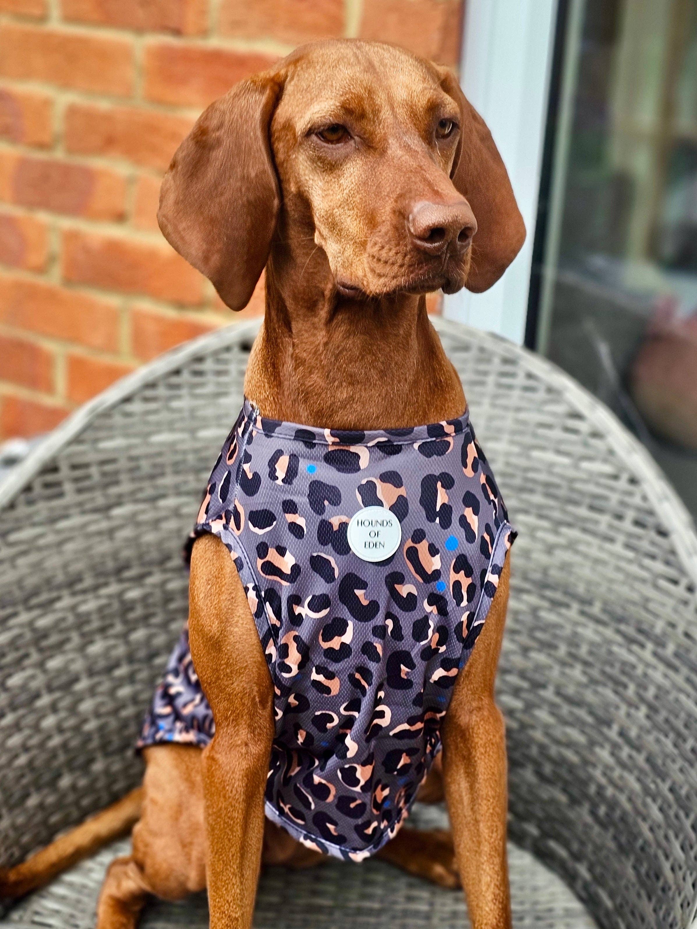 Hounds of Eden - Wholesale Pet Vest - Dog - Steel Leopard Dog Cooling Vest1