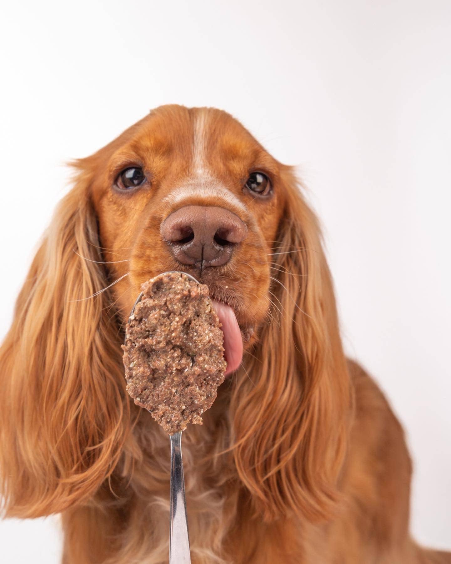 Belpharmed bv: Cooka's Cookies & Sensidog - Wholesale Pet Food - Dog - Real Duck - Natural Humid Dog Food3