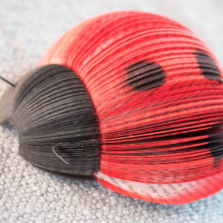 Root To Vine - Vente Décorations de table - Décoration Coccinelle-Cadeau Livre-Décoration Jardin & Insectes-Décoration d'Été2